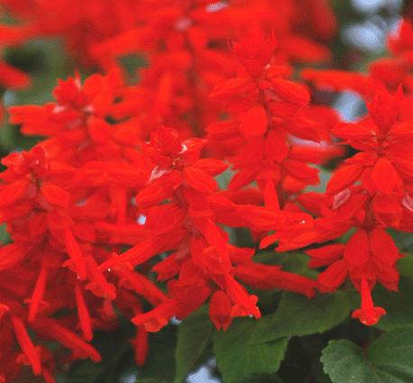 һ���졮�һ�2000��